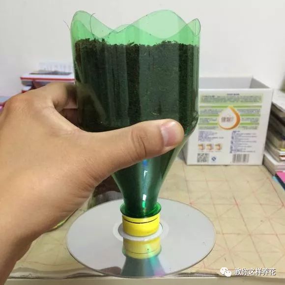 塑料瓶自制免浇水的花盆方法,自吸水免浇水懒人花盆