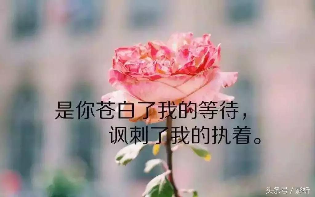 鍞編鍥剧墖甯﹀瓧鏉ㄧ粵,鍞編鍥剧墖甯﹀瓧