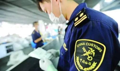 海淘多肉哪些东西不宜买,多肉海淘违法吗