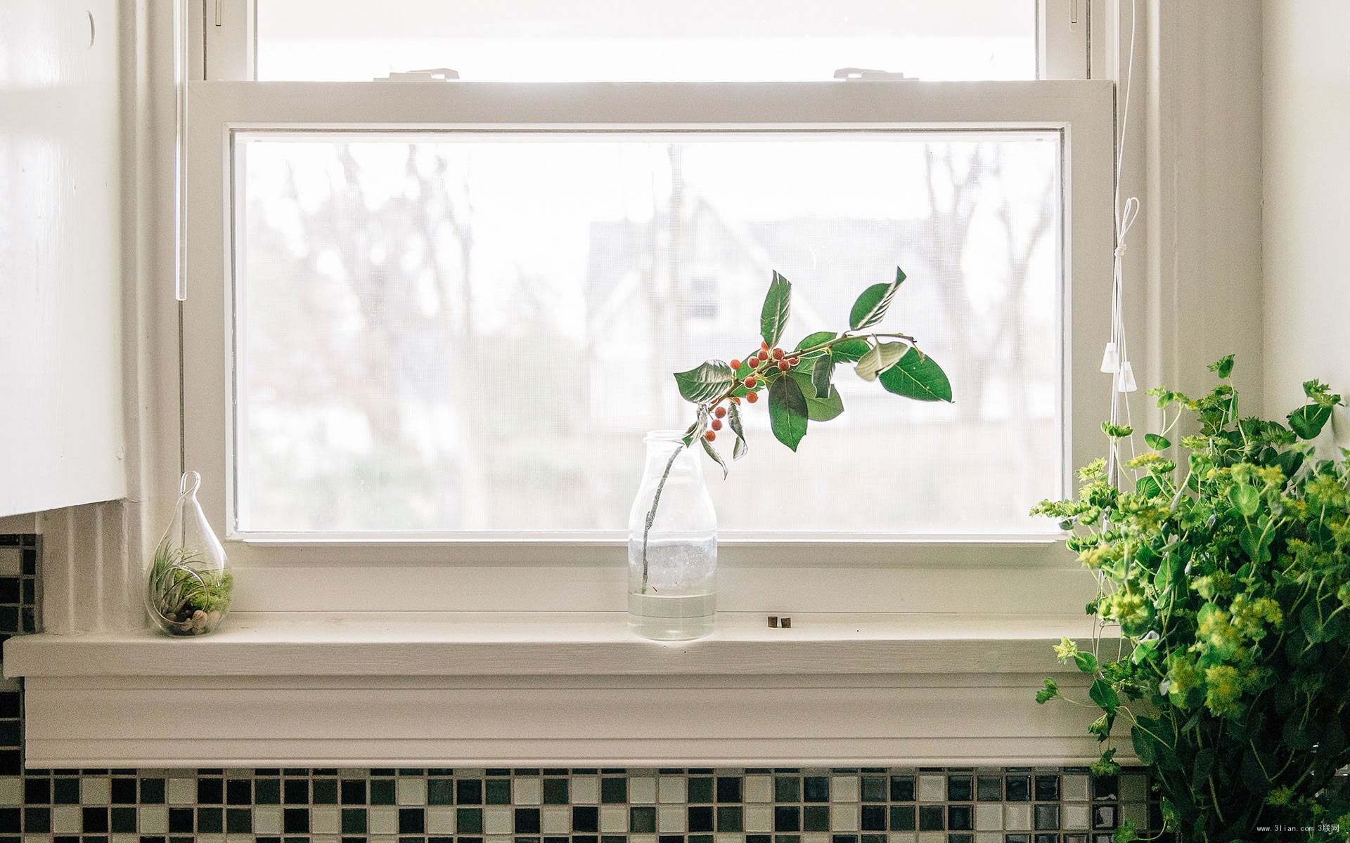 只要尽力生活就会好一点,活得很努力但是一无所有