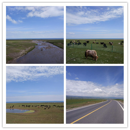 环青海湖骑行什么车比较好,去青海湖骑行几月份最合适