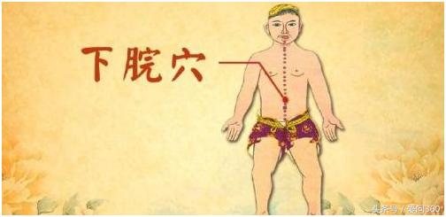 调理肠胃按摩哪个穴位,按哪个穴位可以促进肠胃功能
