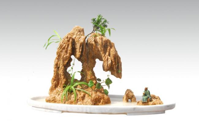 上水石盆景用什么种水草,上水石盆景栽什么树好