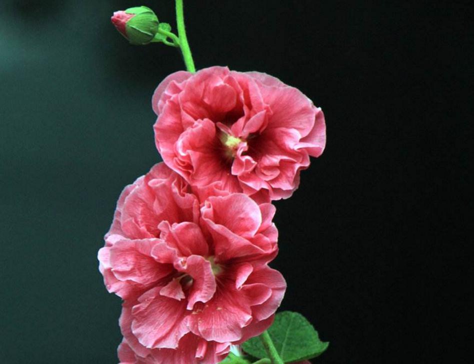 一个人身上透露这3个危险的信号,体内带毒是啥