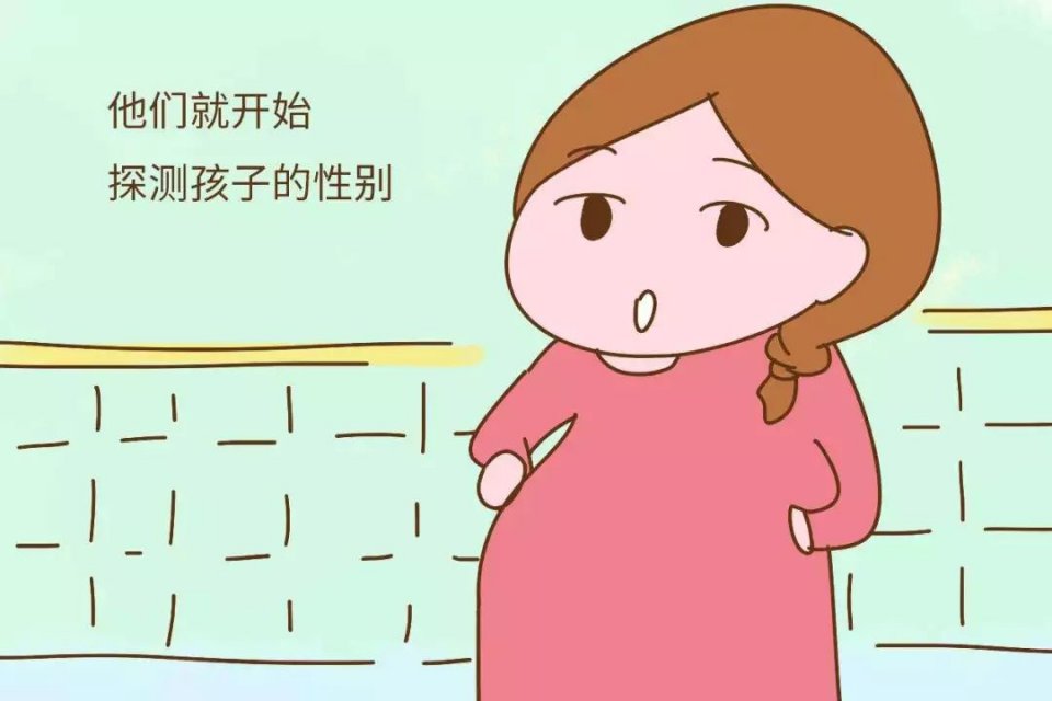 为了提前知道怀的是男宝还是女宝,真的是用尽毕生绝学!