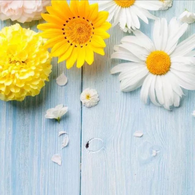 景德镇瓷器直供价格,瓷器直供价值