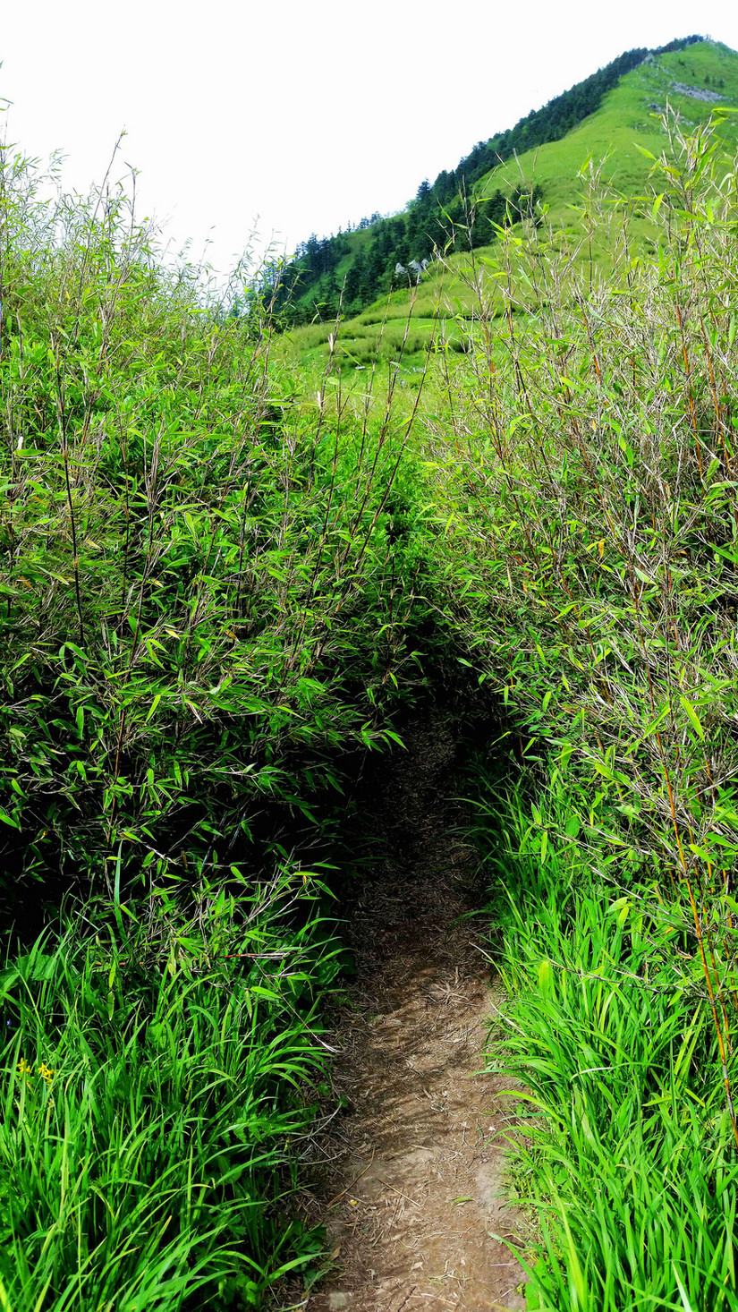 天华山-秦岭梁，又一条风景秀美的一日劲走线路
