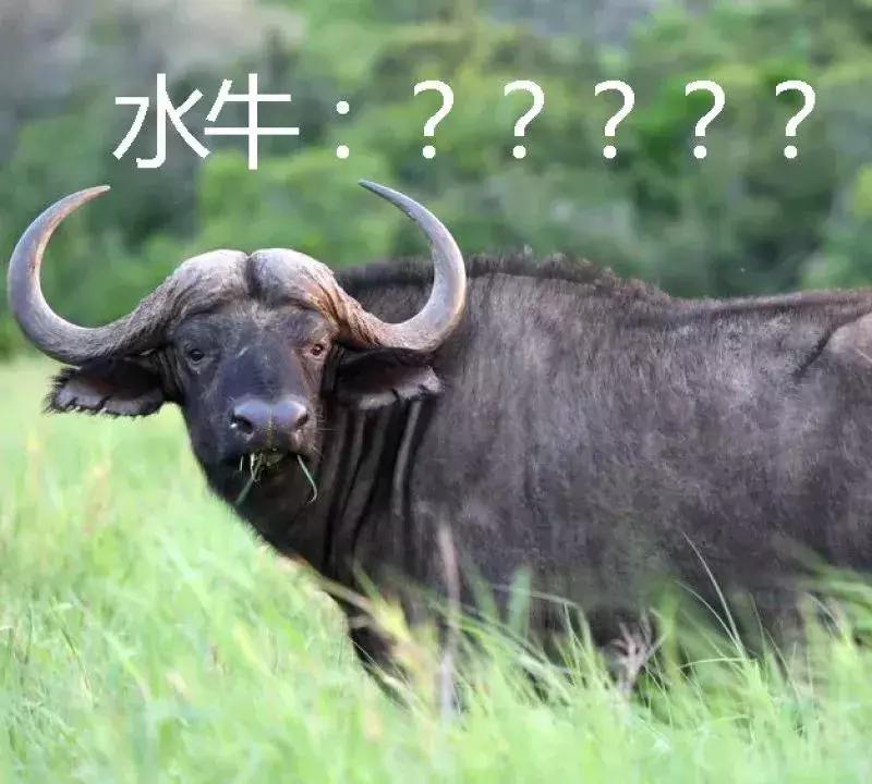 多喝水对身体究竟是好是坏,每天多喝水对身体的影响