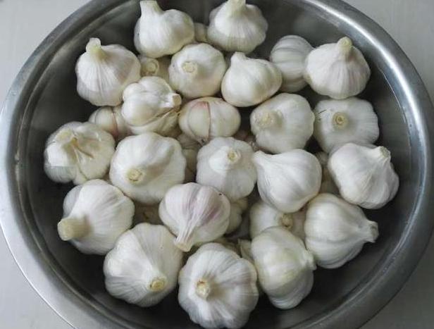 新下来的蒜怎么腌糖蒜好吃,买什么样的蒜腌制糖蒜好