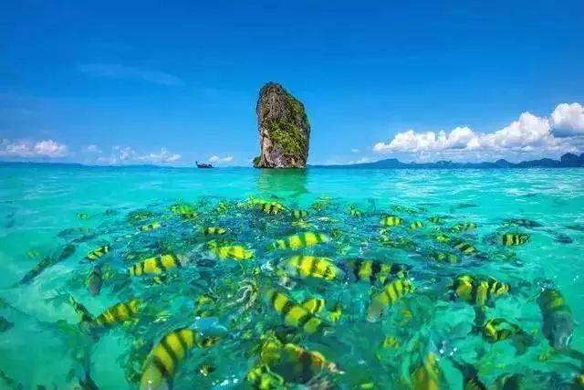 泰国普吉岛旅游攻略及费用,泰国旅游普吉岛攻略