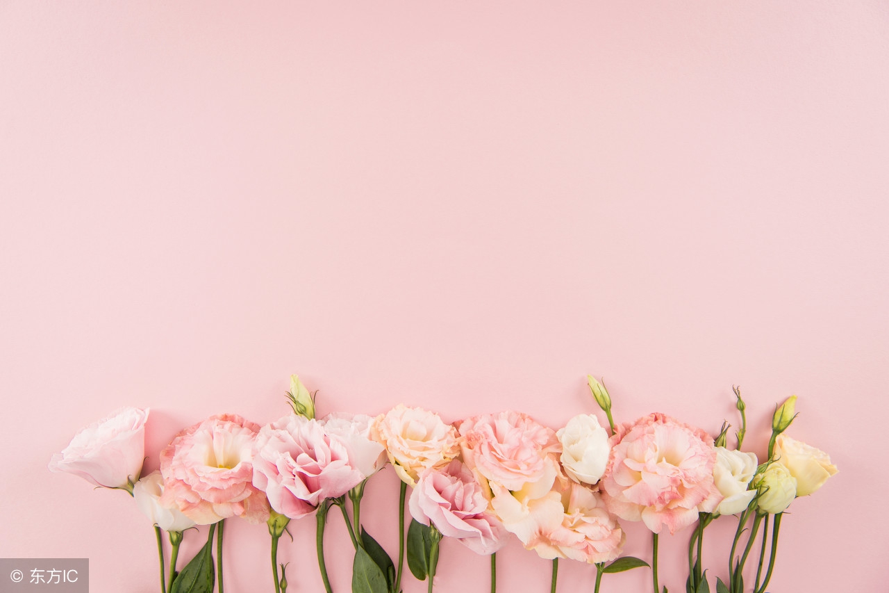 母亲节的礼物阅读,母亲节礼物食谱