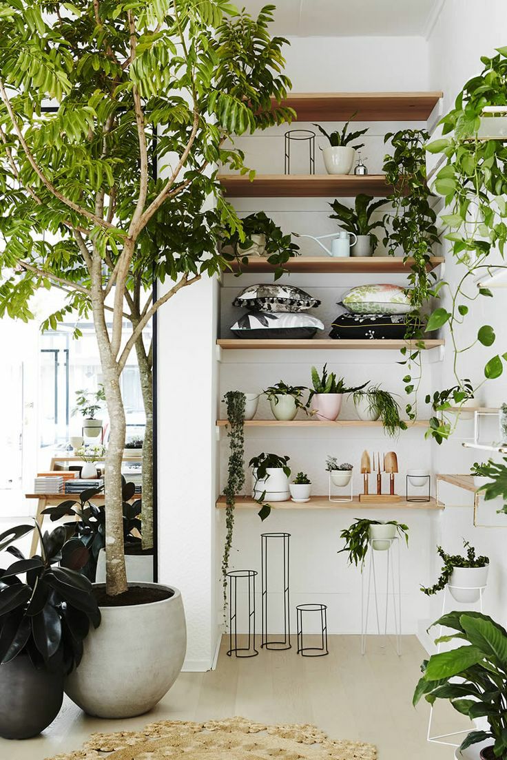 大门面对卫生间门怎么化解,入户大门正对卫生间有什么事