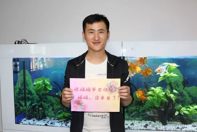 母亲节特辑献给妈妈的歌,关于母亲节的康乃馨