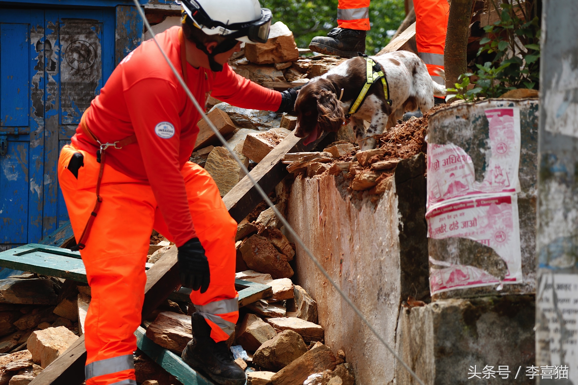 地震狗狗救人感动视频,北京地震瞬间宠物狗全程安睡