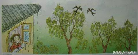 初中语文看图写话专题,小学语文看图写话范文大全20篇