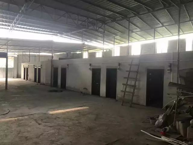 梅州江南出租房1千以下,梅州最新出租房