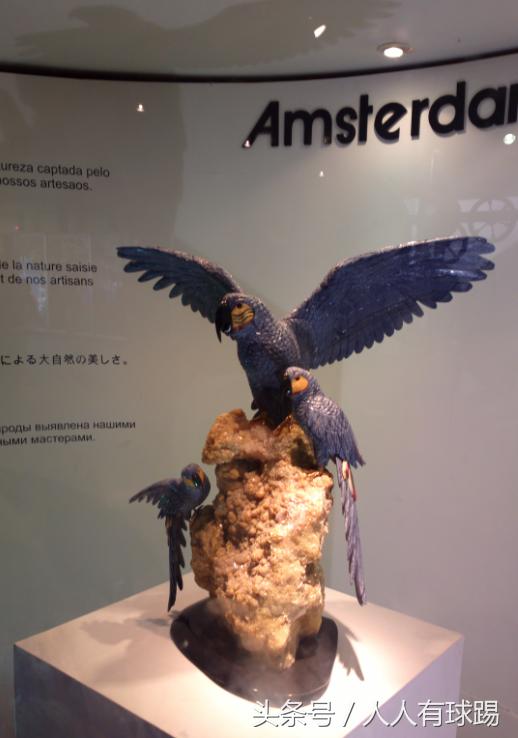 里约热内卢上帝之肩,上帝第七天里约热内卢