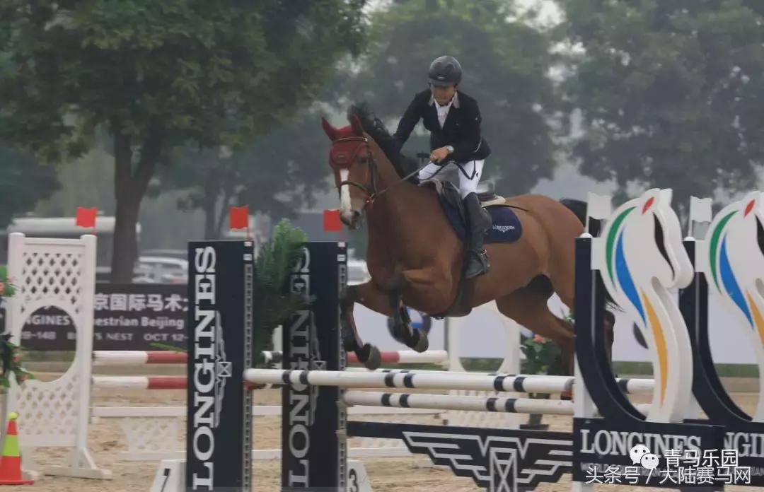 鸟巢之路马术巡回赛,鸟巢之路巡回赛