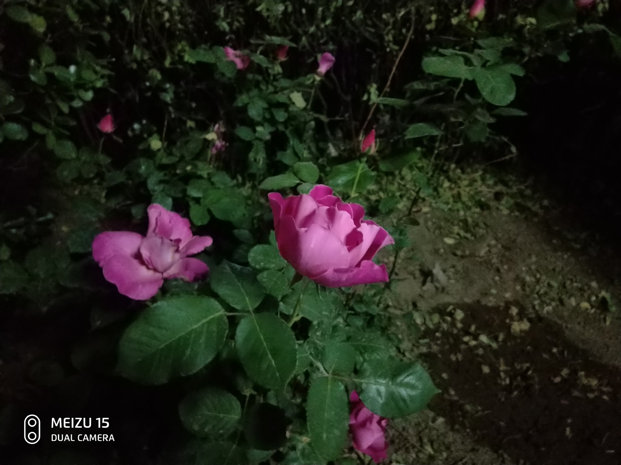 魅族15下一代评测,魅族15使用感受