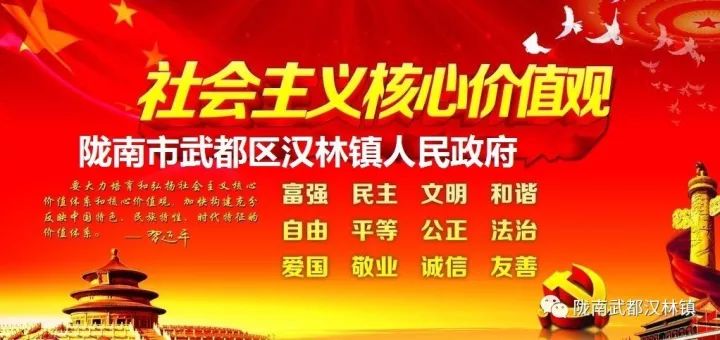 「爱心捐赠」区人大代表、欣达集团董事长李义新献爱心陇南市武都区汉林镇三家地灾区捐款仪式