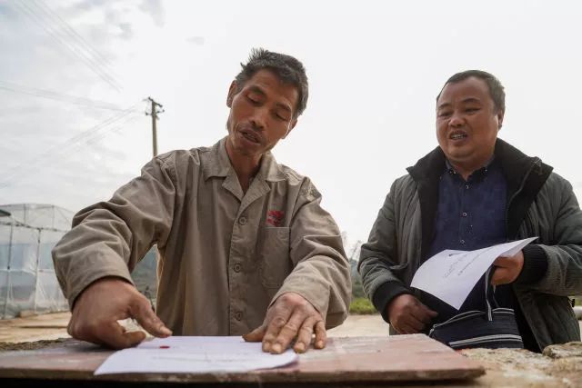 玉屏，为什么能赢？