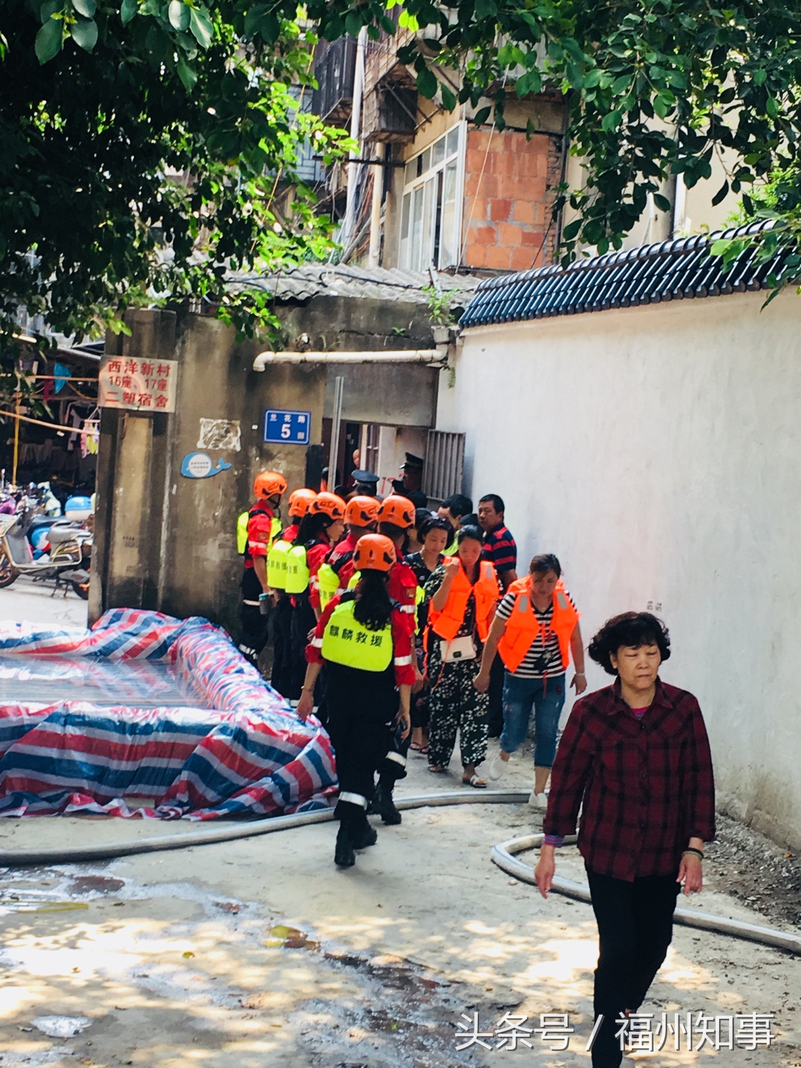 上海市最新防汛通知,上海防汛工作报道