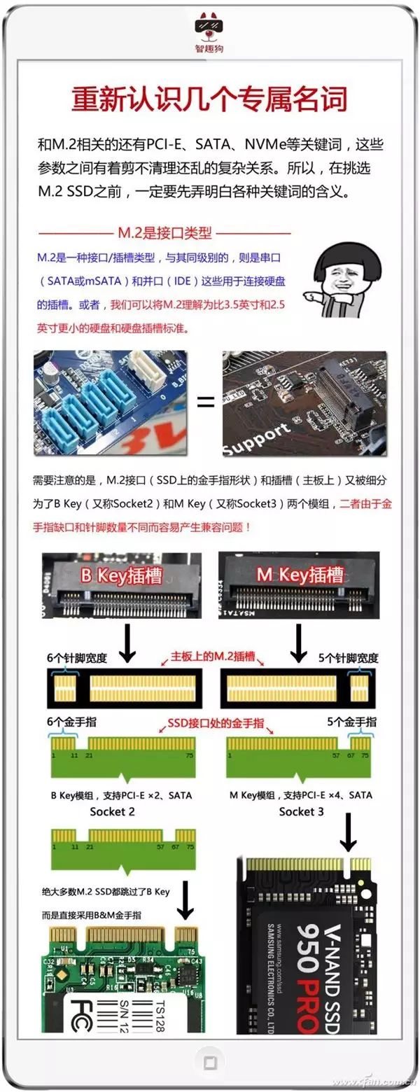 铅锤哥：固态硬盘的M.2、SATA、PCI-E、NVME究竟说的是什么？