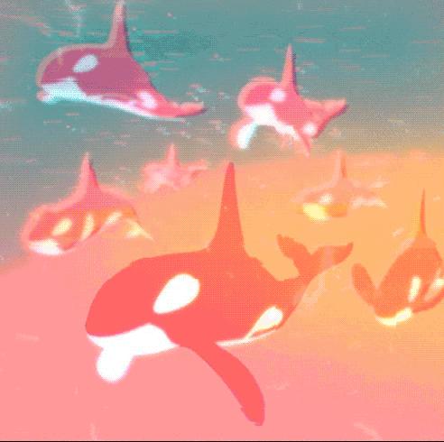 鸟与豚，高智商动物群像