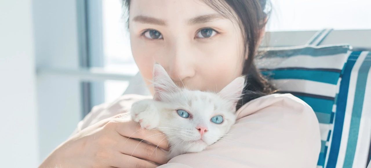 想辞职做自由撰稿人,想转行独立摄影师