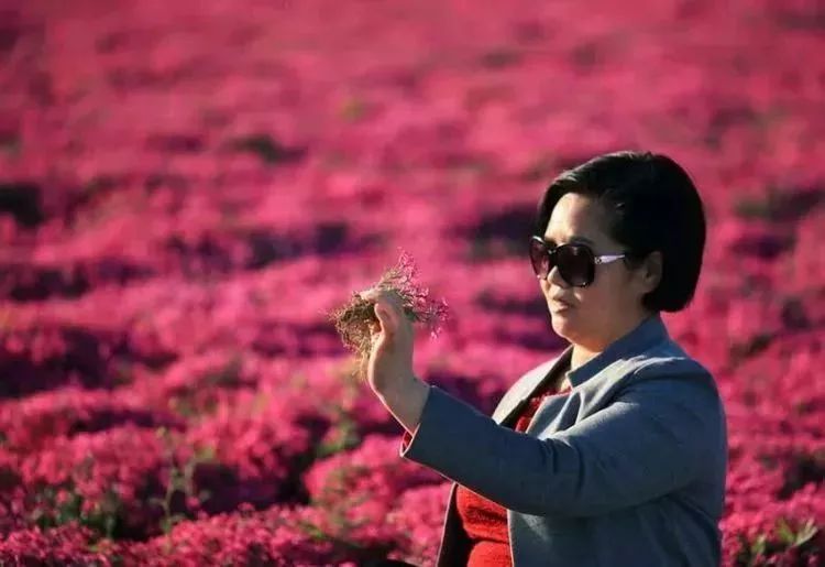 孟津周边一日游的绝佳去处,孟津秋季游必去的地方