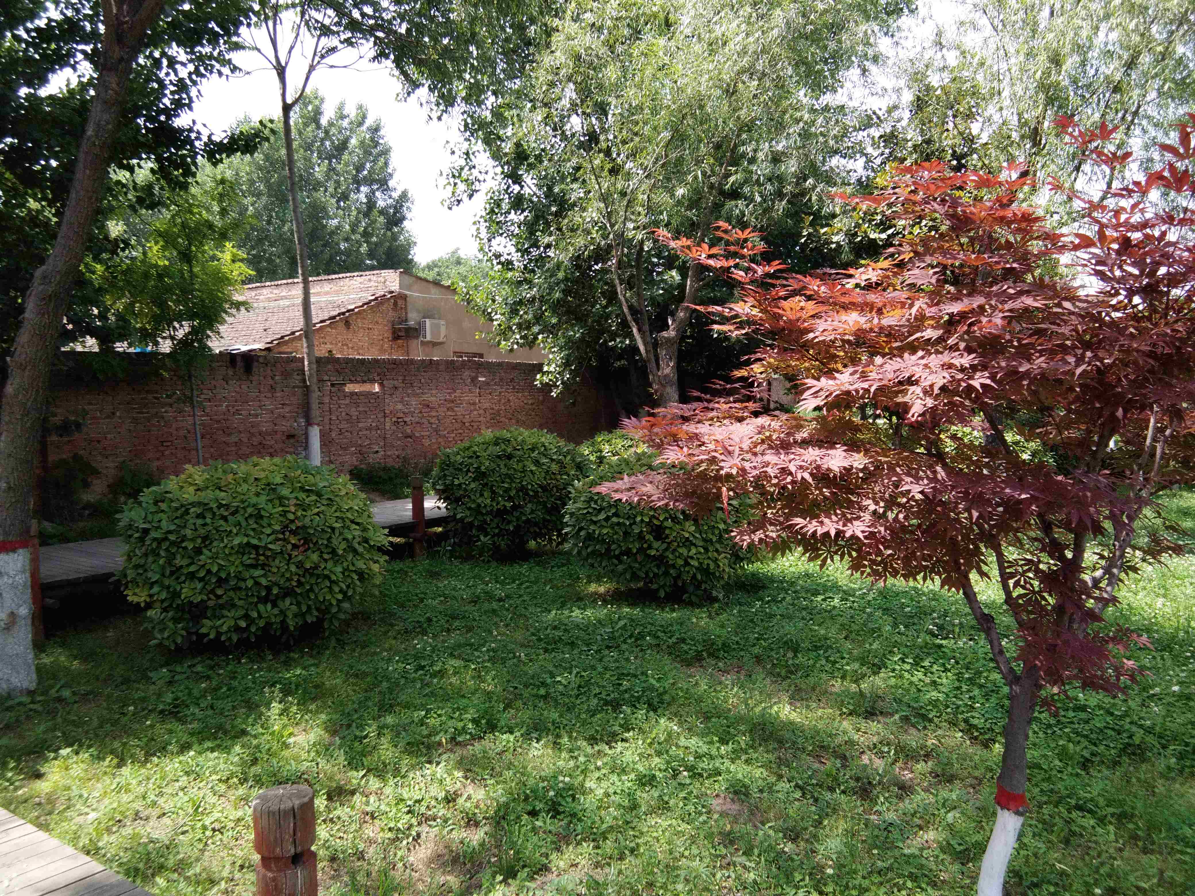 脚踏汉城湖公园全程!感受汉武辉煌!