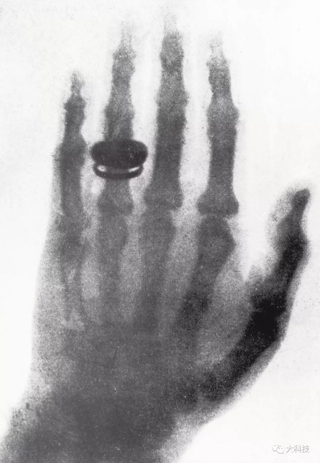 关于波的九大发现