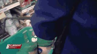 澳洲出手了！今天起，为“封杀”中国代购，超市出此招！