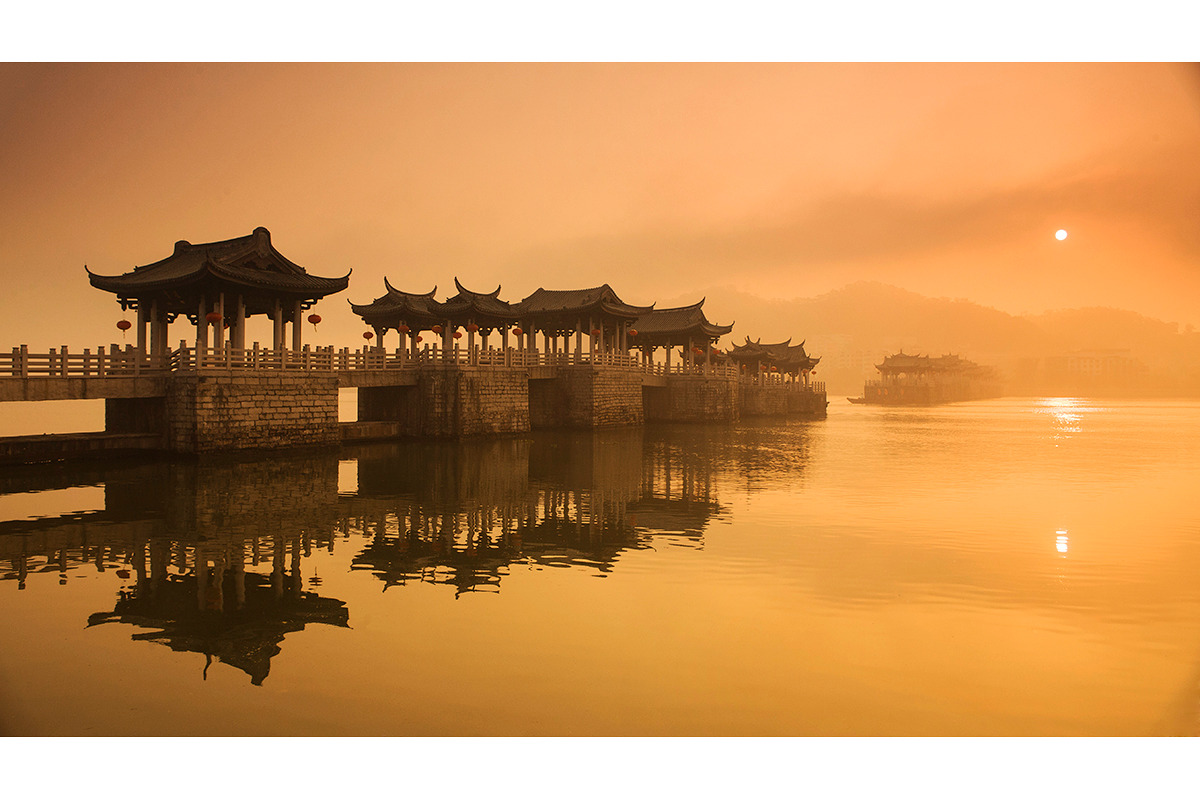 投产最快最好的果树,广东生长最快的果树