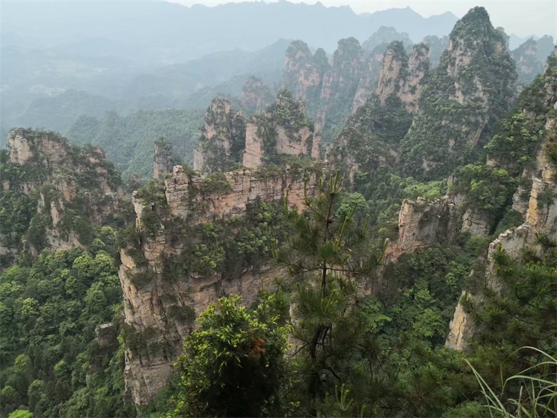 香港人组团游张家界,姐妹相约张家界三日游