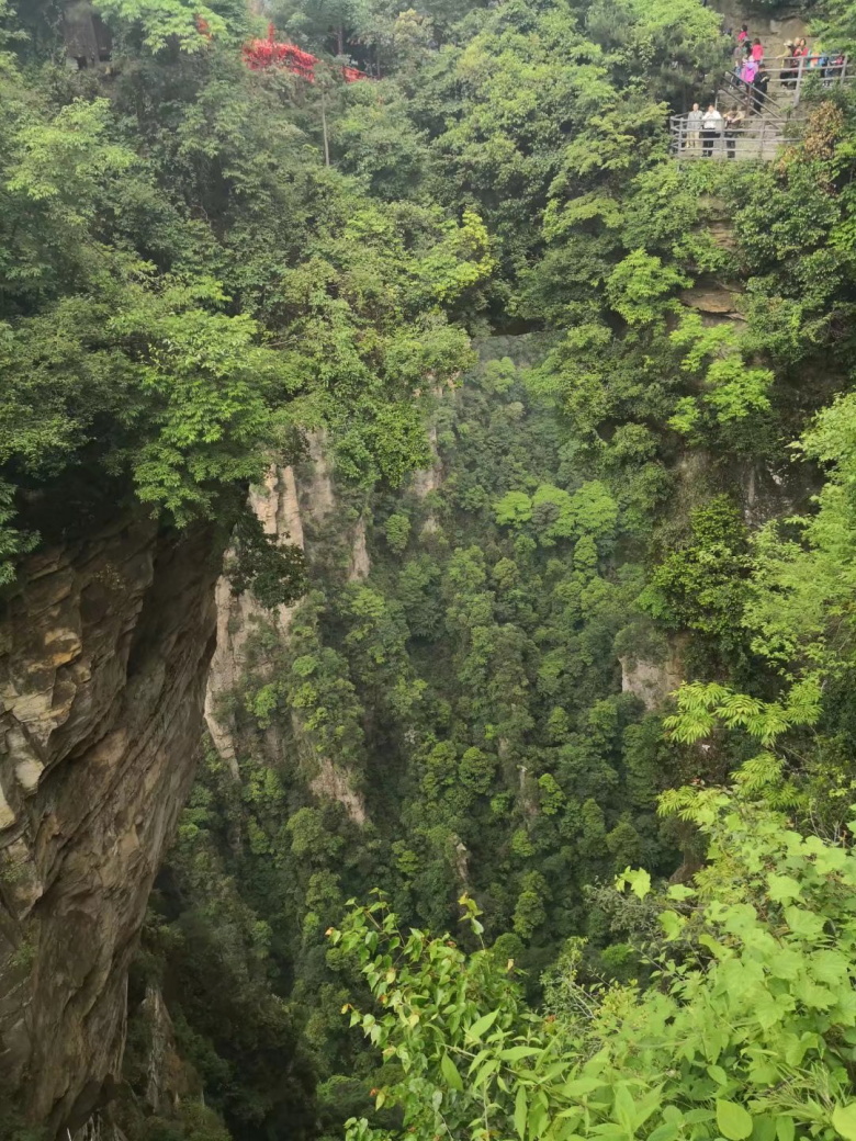 香港人组团游张家界,姐妹相约张家界三日游