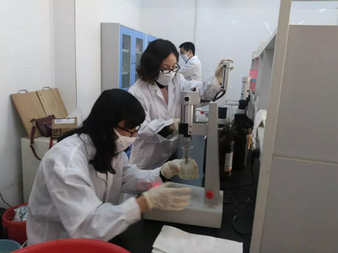 孟津袖珍西瓜多少钱,孟津袖珍西瓜新品种