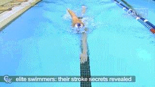 自由泳动作学会以后怎样巩固练习,只需四步轻松学会自由泳