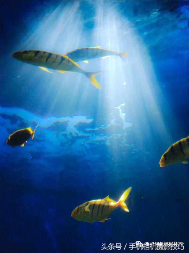 儿童游乐园摄影,适合拍照的游乐园