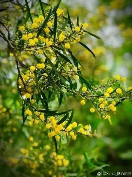 福州2022年5月赏花攻略,福州春季赏花胜地