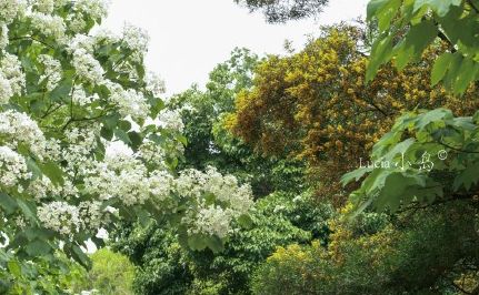 福州2022年5月赏花攻略,福州春季赏花胜地