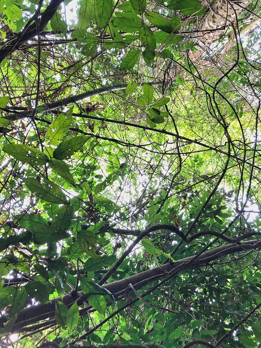 “湿身”一夜芭提雅——不负泰激情