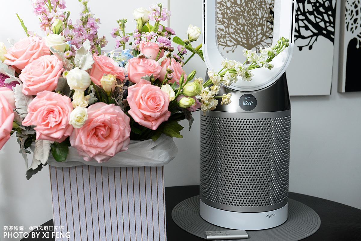 dysonpurecool空气净化风扇,戴森空气净化器purecool