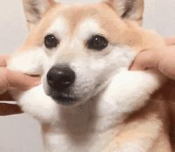 好用的微商面膜推荐,拔草那些不值得买的网红视频