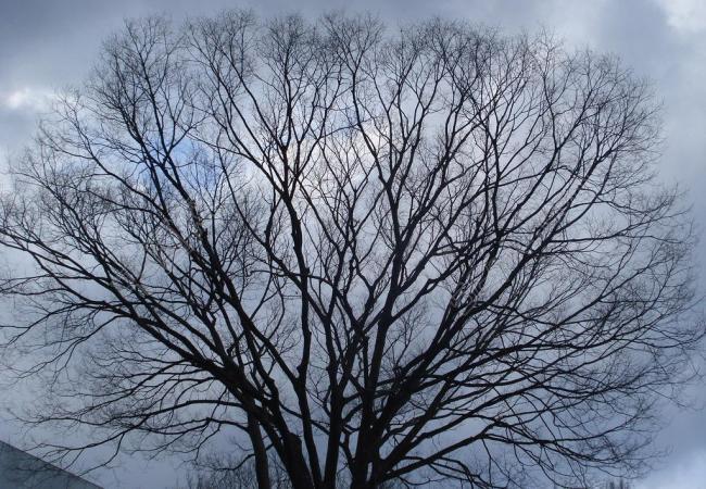 如何理解儒道互补的思想,儒与道的理解