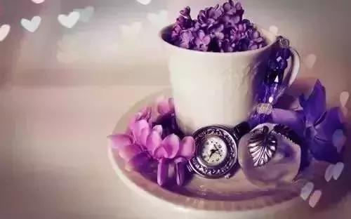 语文成语归纳大全,成语归类整理大全