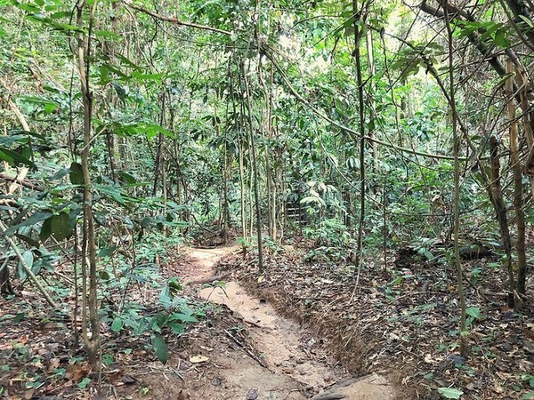 2024泰国泼水节攻略,2022年的泰国芭提雅泼水节