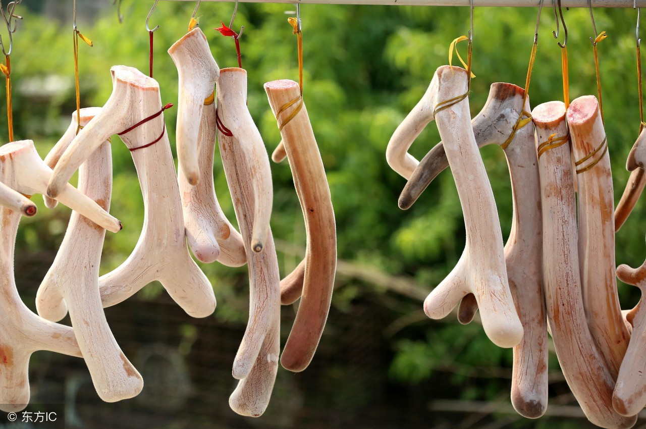 中医补虚口诀大全,补虚的中药方剂