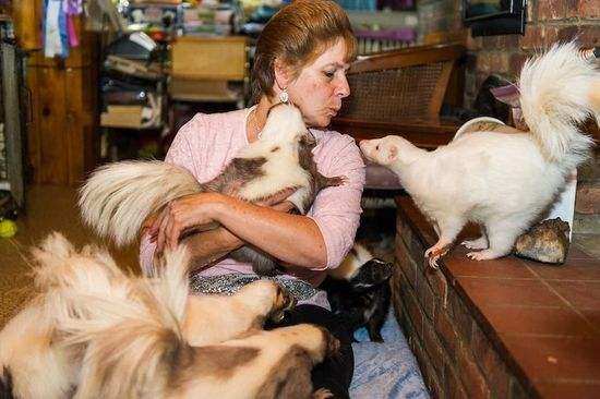 震惊世界的奇葩宠物,外国人养的奇葩宠物