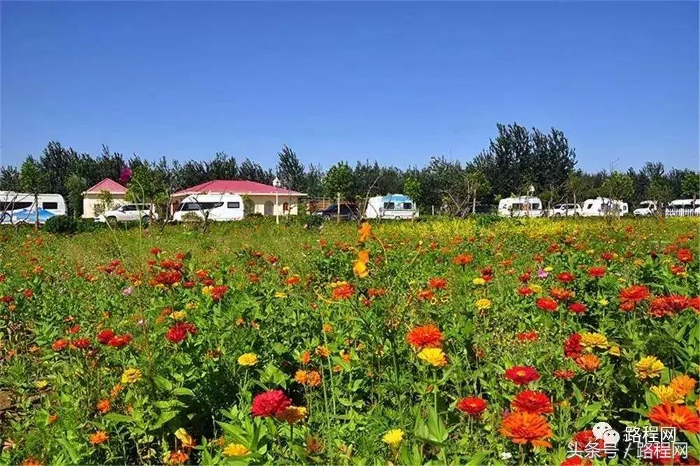 营地最新数据,全国营地地图